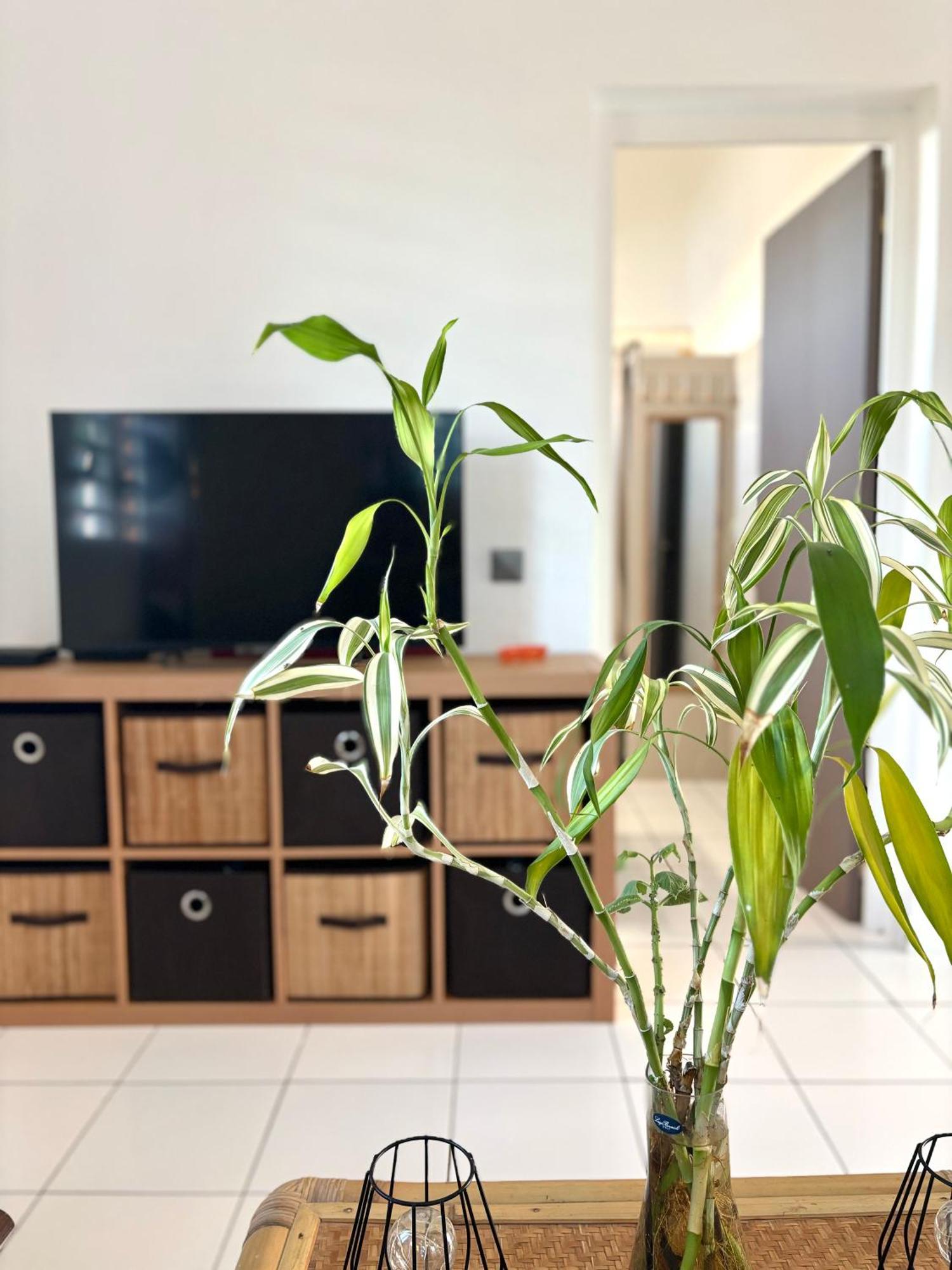 Le Gite Ohana - Proches Des Plages Et Jardin Prive Сен-Франсуа Экстерьер фото